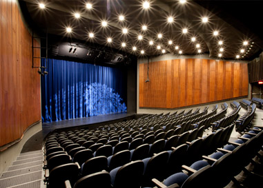 Best Theatre Vancouver 2013